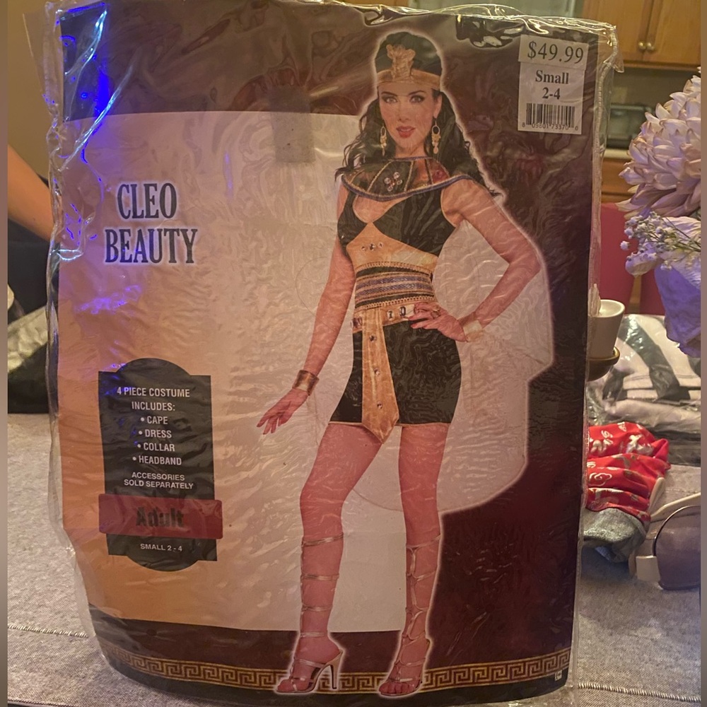 Cleo Beauty Costume